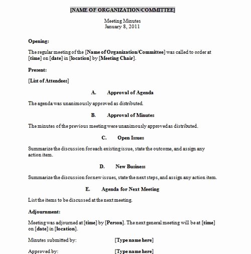 S Corp Meeting Minutes Template