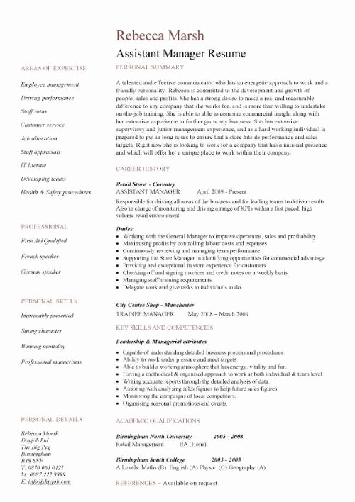 Merchandiser Job Description Resume Best Resume Gallery