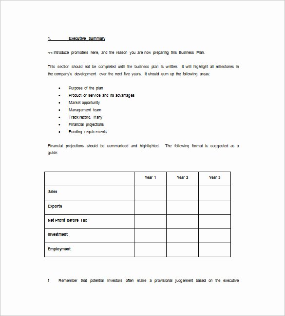 Microsoft Business Plan Template 17 Free Example