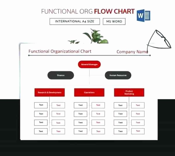 Microsoft Fice Flow Chart Functional Template Download