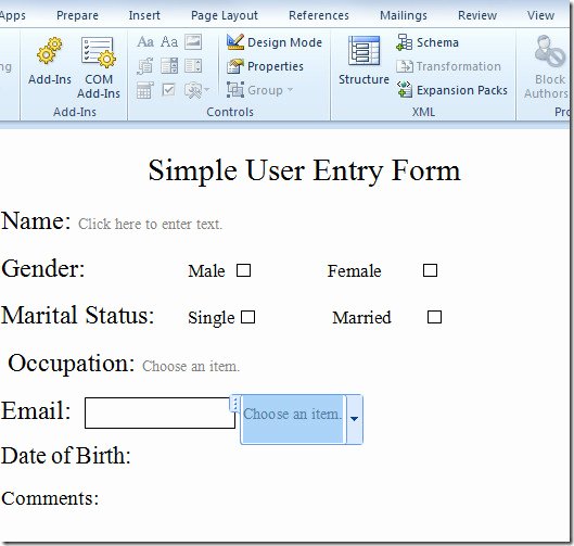 Microsoft Word 2010 Create Template form