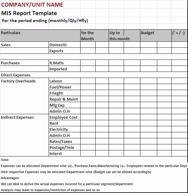 Monthly Financial Report Template Excel 21 Monthly Sales