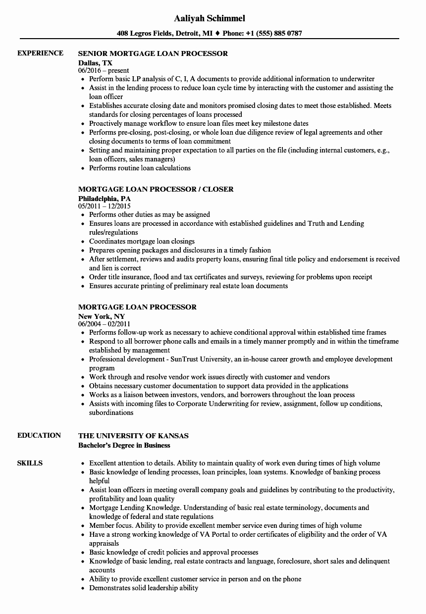 mortgage loan processor resume sample