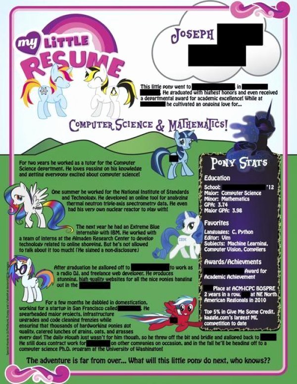 My Little Pony Resume is This the Worst Cv Ever Work