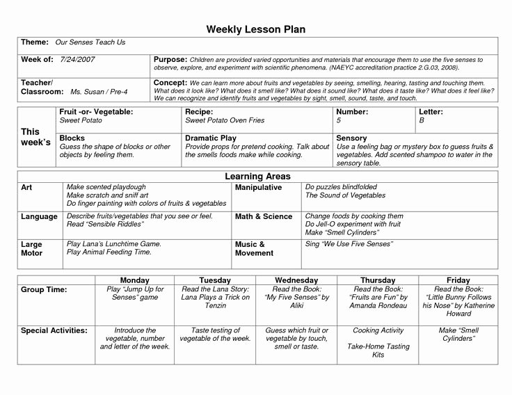 Naeyc Lesson Plan Template for Preschool