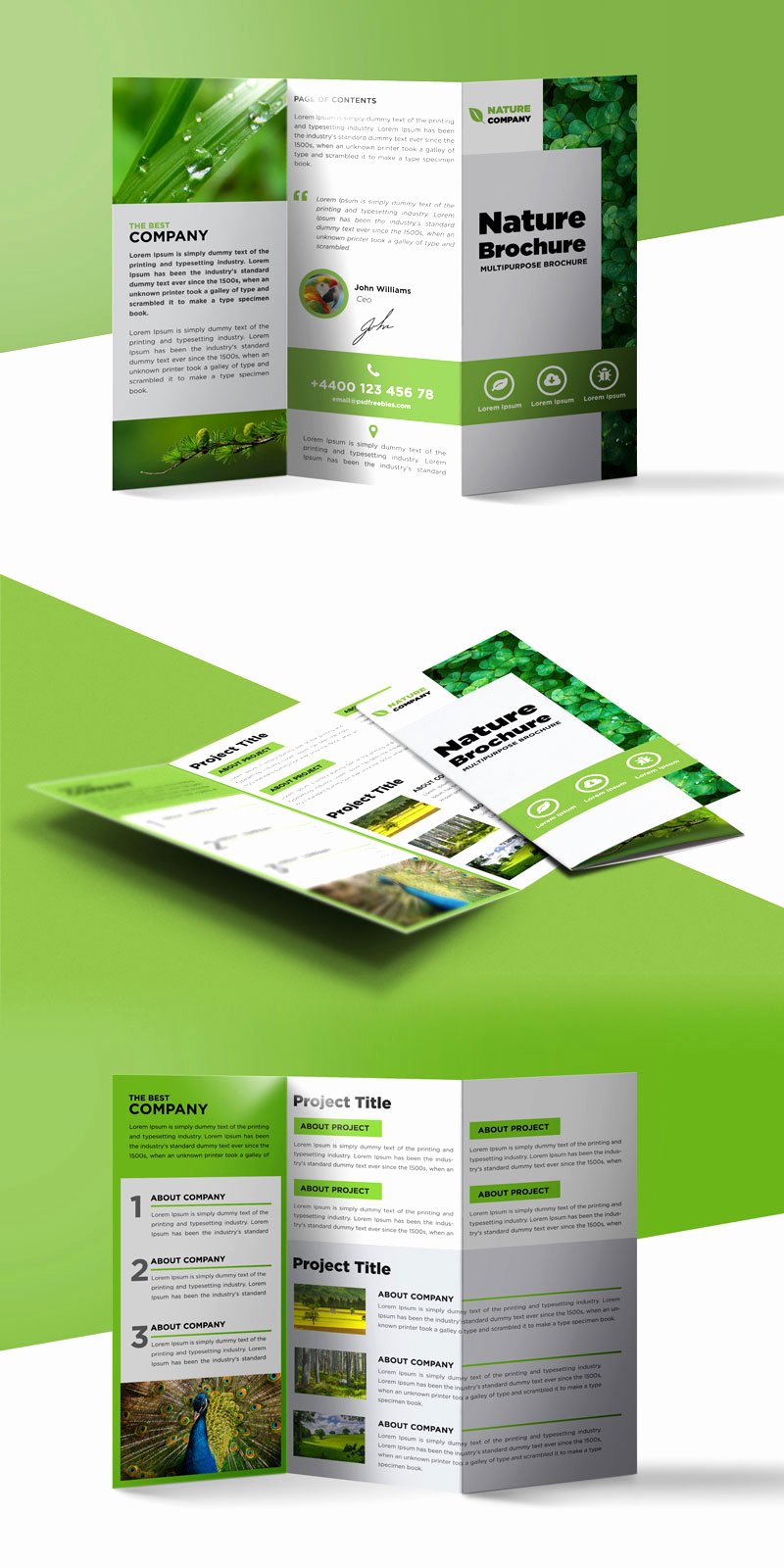 Nature Tri Fold Brochure Template Free Psd