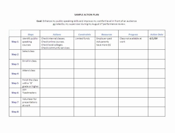 Nice Action Plan Template Word Sample with 8 Steps Table