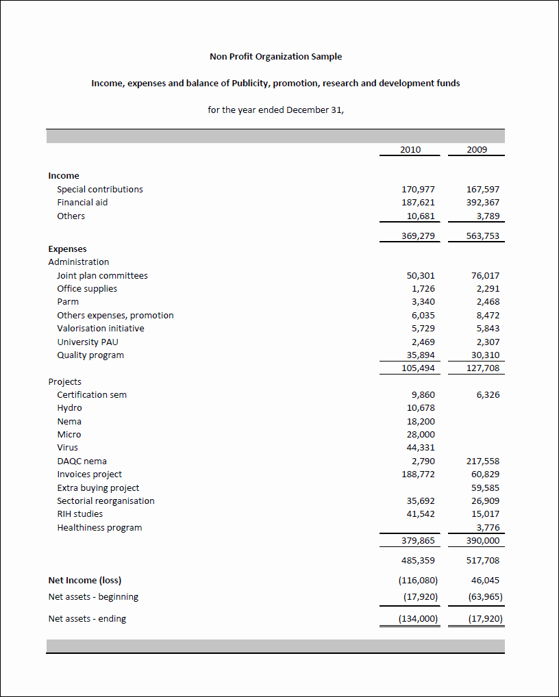 nonprofit balance sheet resume template ideas 3