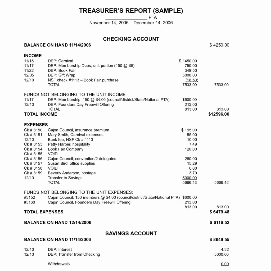 Non Profit Financial Statements Example Report Sample
