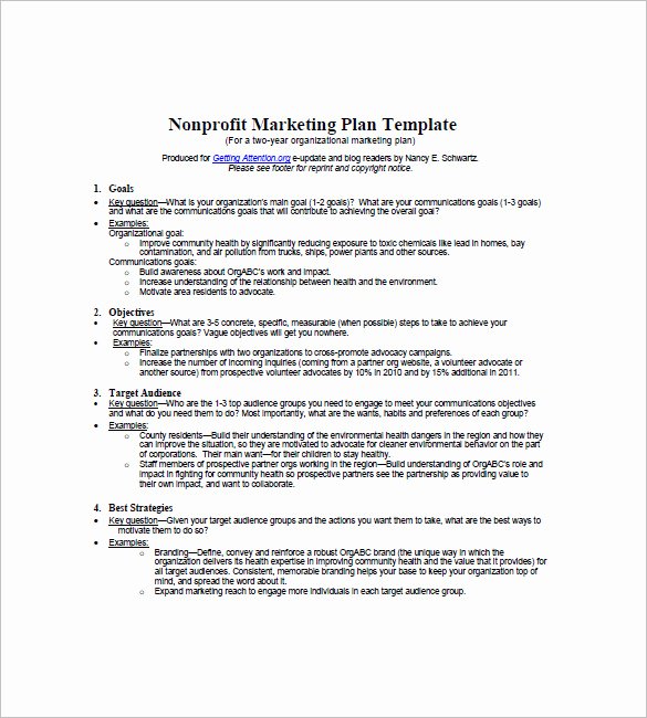 Non Profit Marketing Plan Template – 10 Free Word Excel