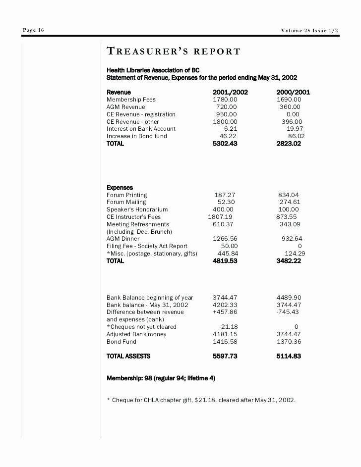 Treasurer Report Template Non Profit