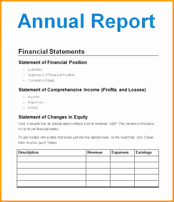 Non Profit Treasurer Report Template