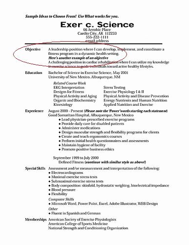 Objective for Resumes Annecarolynbird
