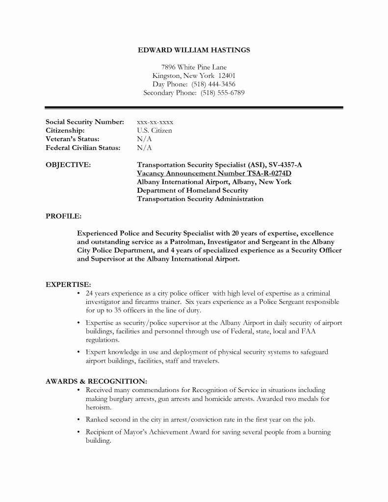 Objective Statement for Resume Security – Perfect Resume