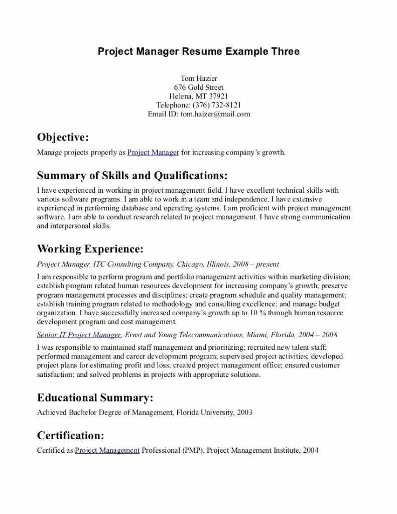 Objective with Summary Skills Project Manager Resume