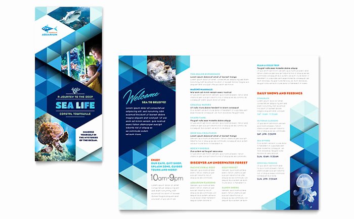Ocean Aquarium Brochure Template Word &amp; Publisher