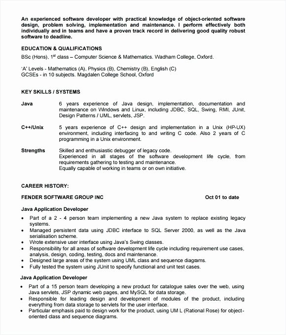 oracle pl sql developer resume sample resumes co ms access java wonderful a programmer