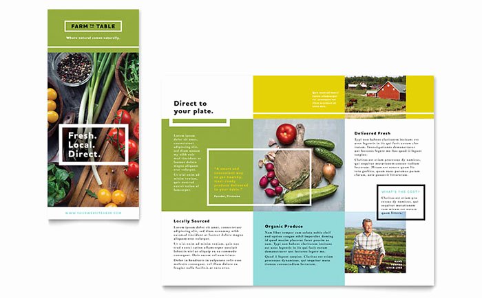Organic Food Brochure Template Word &amp; Publisher