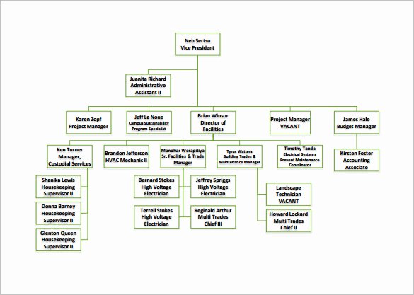 Organizational Chart Template – 9 Free Sample Example