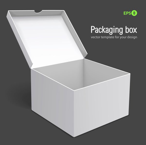Packaging Box Design Templates