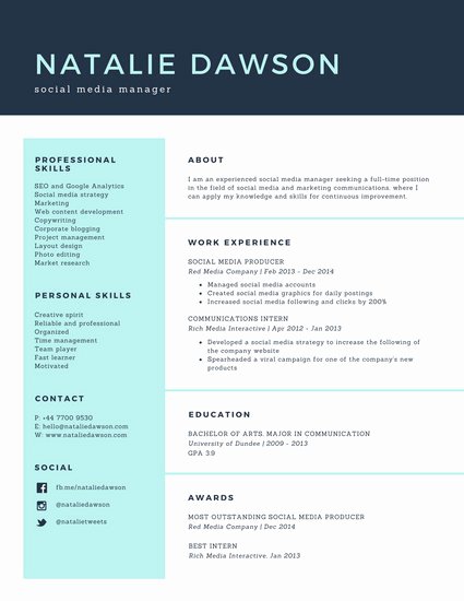 Pale Turquoise social Media Manager Simple Resume