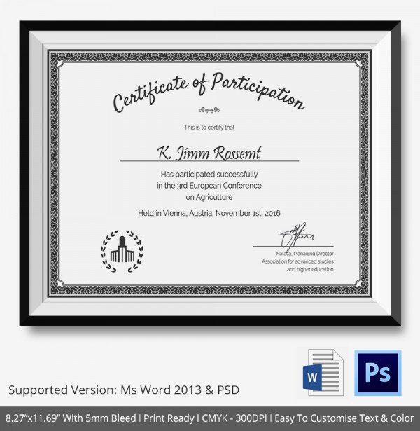Participation Certificate Template 14 Free Word Pdf