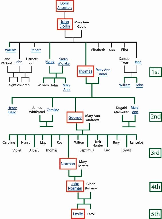 Paternal Family Tree Template Family Tree Template 17
