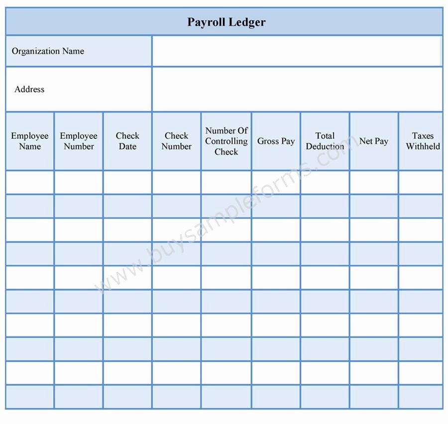 Payroll Ledger form