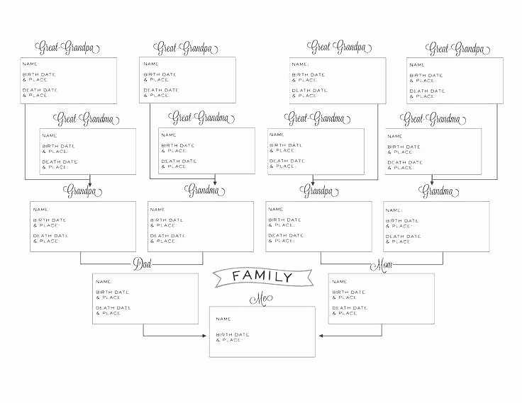 Pedigree Family Tree Chart Free Download Blank Ancestry