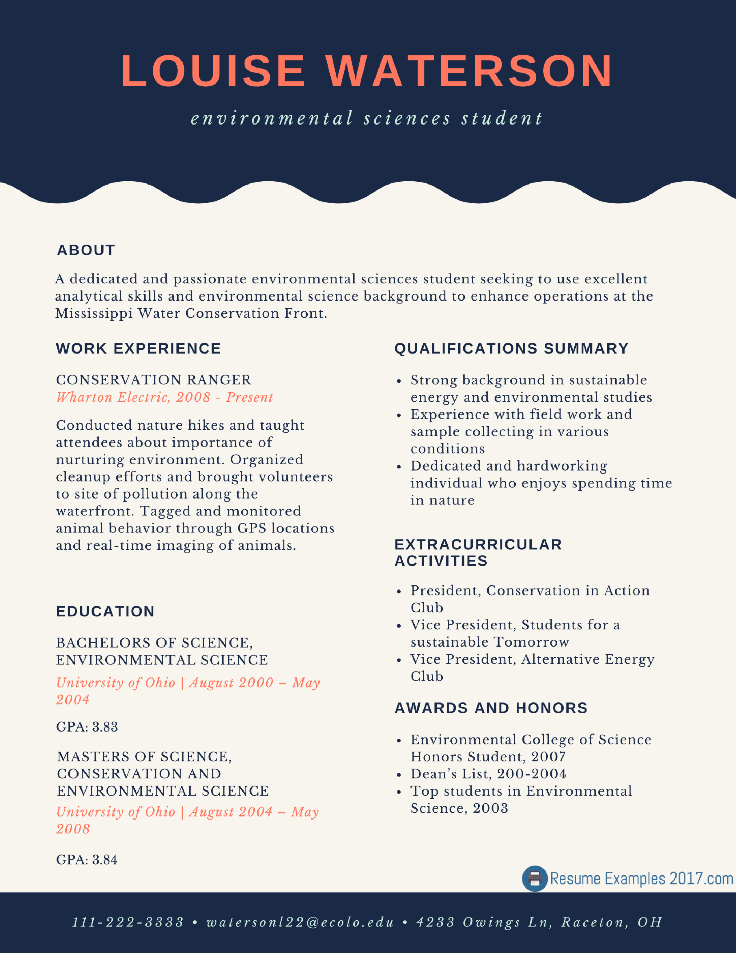 Perfect Entry Level Resume Examples