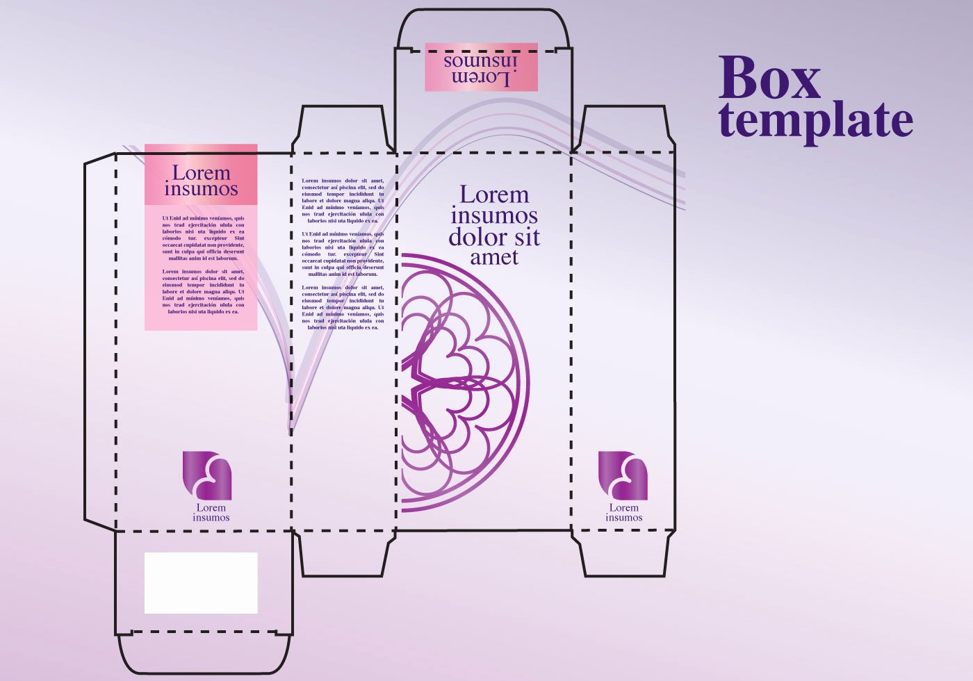Perfume Box Design Download Free Vector Art Stock
