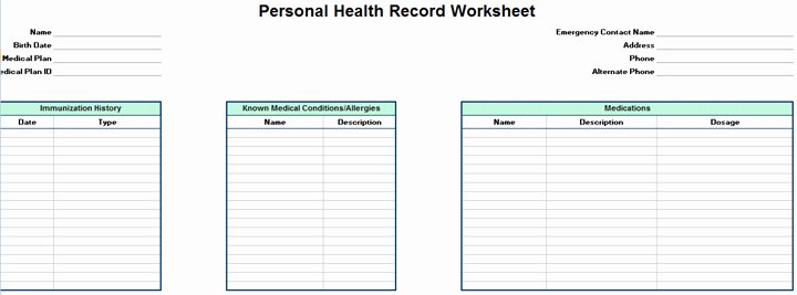Personal Family Medical Health Record Worksheet Excel
