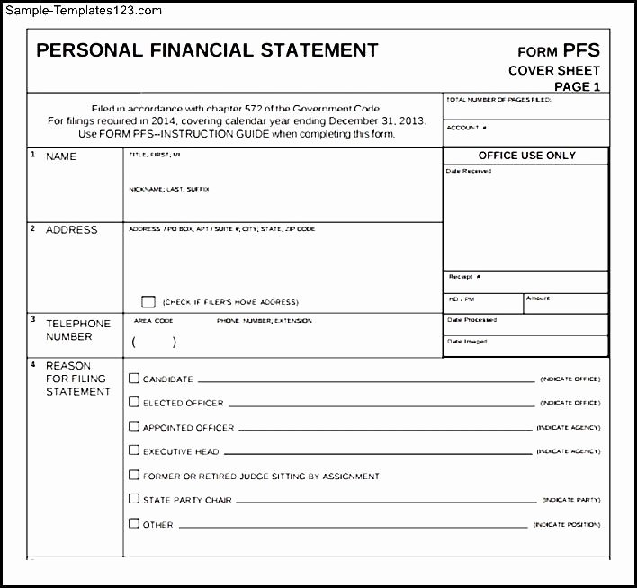 Personal Financial Statement Template Free 2016