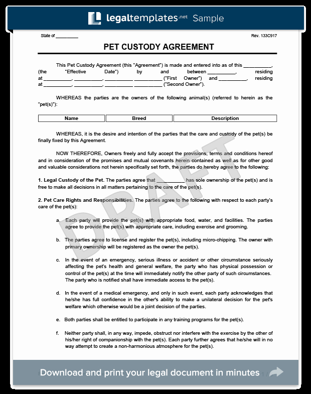 Pet Custody Agreement