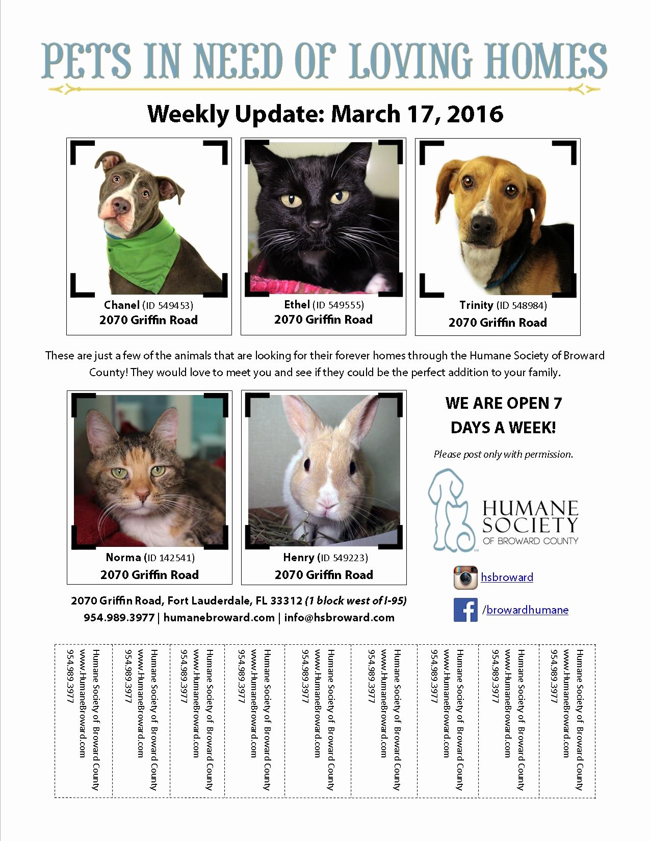 Pet Flyer March 17 2016 Humane society Of Broward