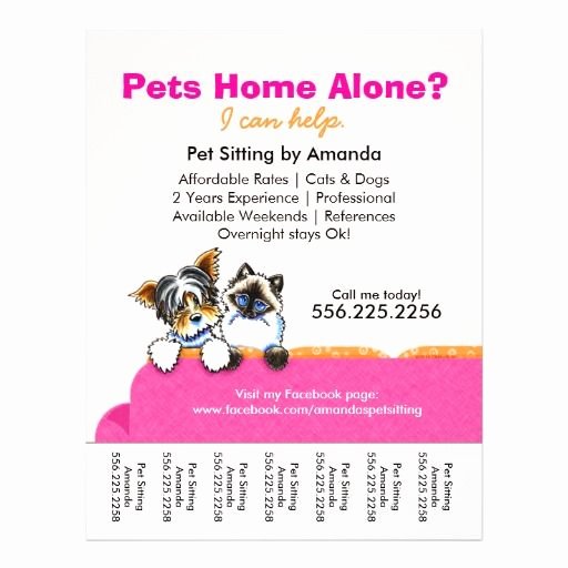 Pet Sitter Ad Yorkie Cat Couch Pink Tear Sheet Flyers