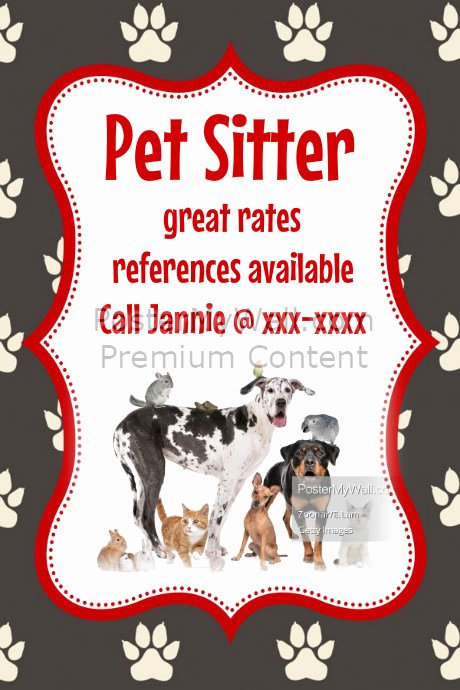 Pet Sitter Animal Cat Dog Bird Flyer Poster Announcement