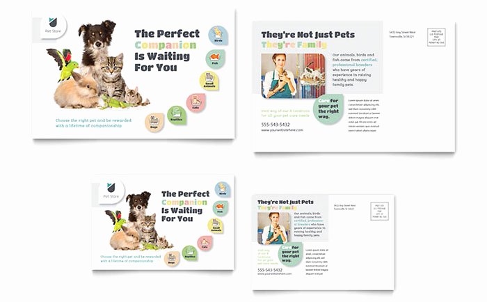 Pet Store Postcard Template Word &amp; Publisher