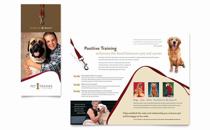 Pet Training &amp; Dog Walking Brochure Template Design