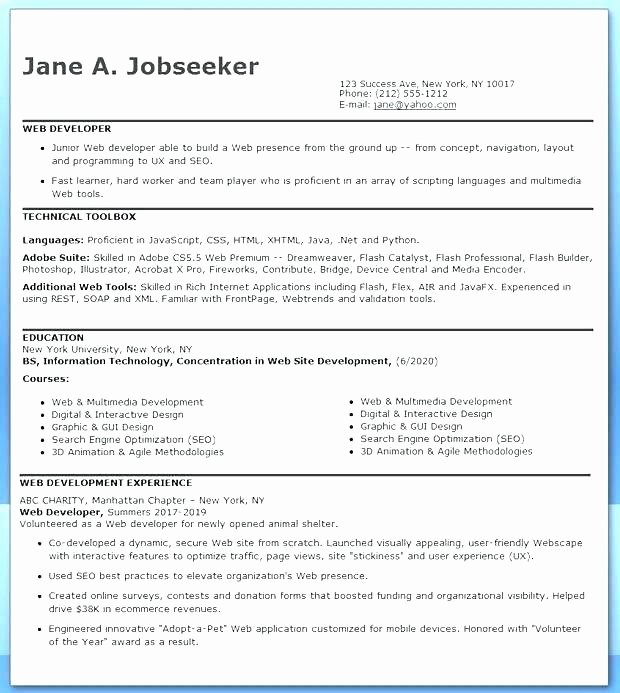 web developer resume objective summary creative example entry level