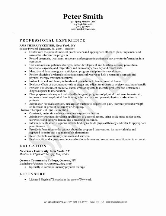 Physical therapist Resume Example