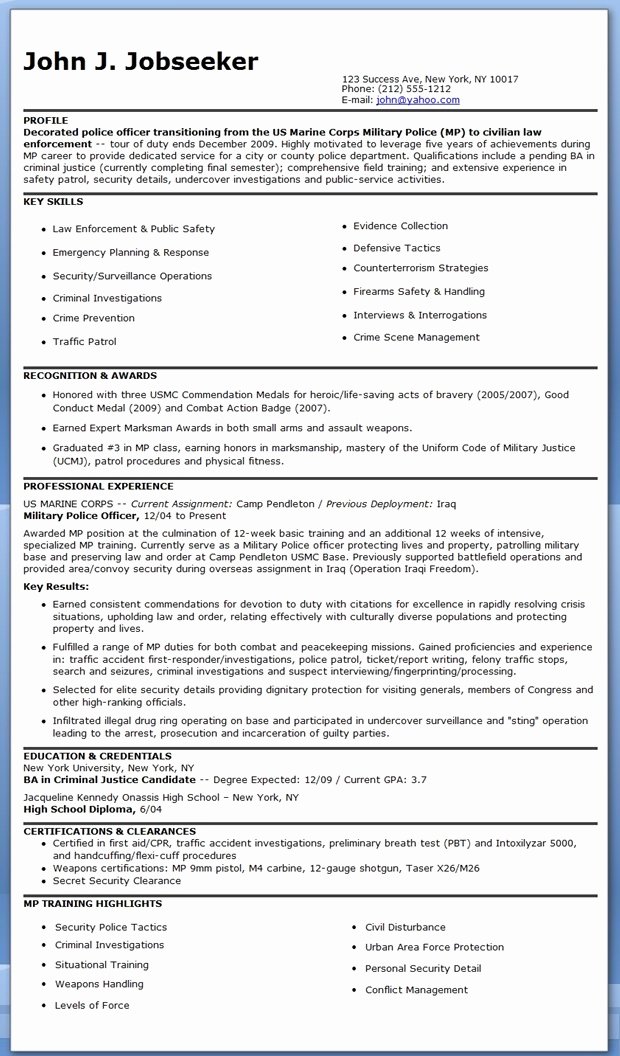 police lieutenant resume templates for free