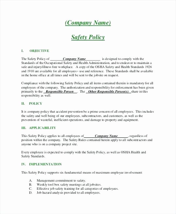 Policy Document Template Example Pany Policy Document