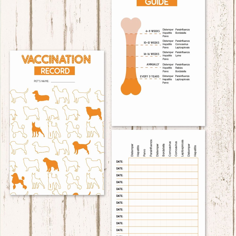 Printable Dog Vaccine Health Record Pet Care Record Book