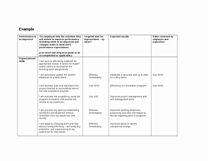Printable Improvement Plan Template and Performance