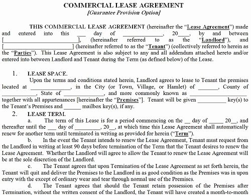 Printable Sample Mercial Lease Agreement form