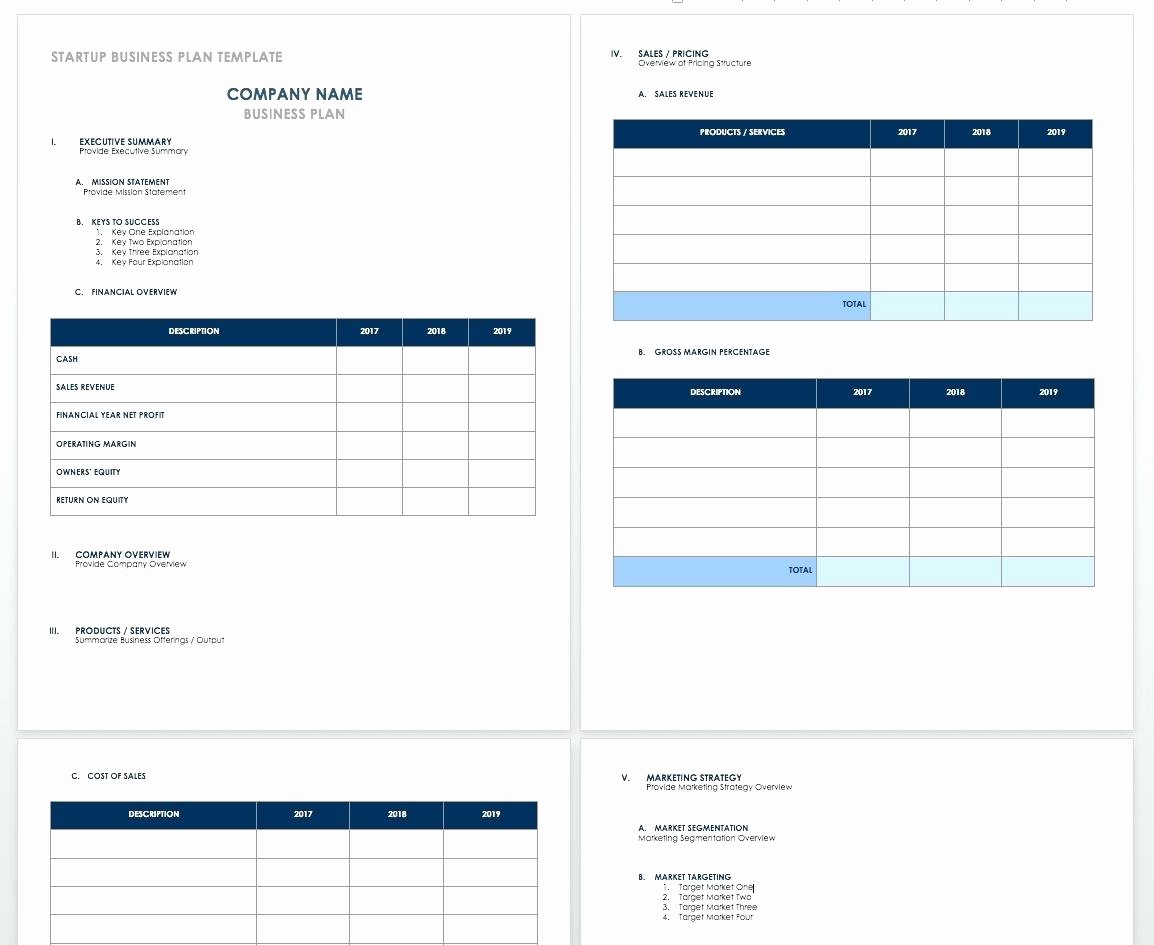 Pro forma Financial Statements Template Excel