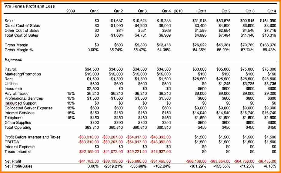 Pro forma Financial Statements Template