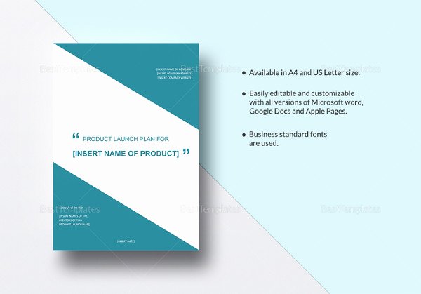 Product Launch Plan Template 8 Free Word Pdf Document