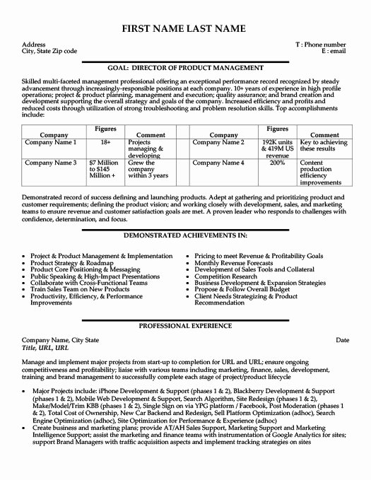 Product Manager Resume Sample &amp; Template